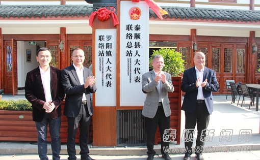 泰顺县人大代表联络总站成立