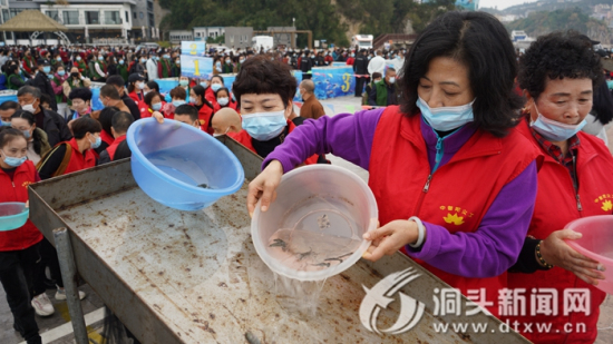 第十届放生节:7万尾优质黑鲷鱼苗放流入海