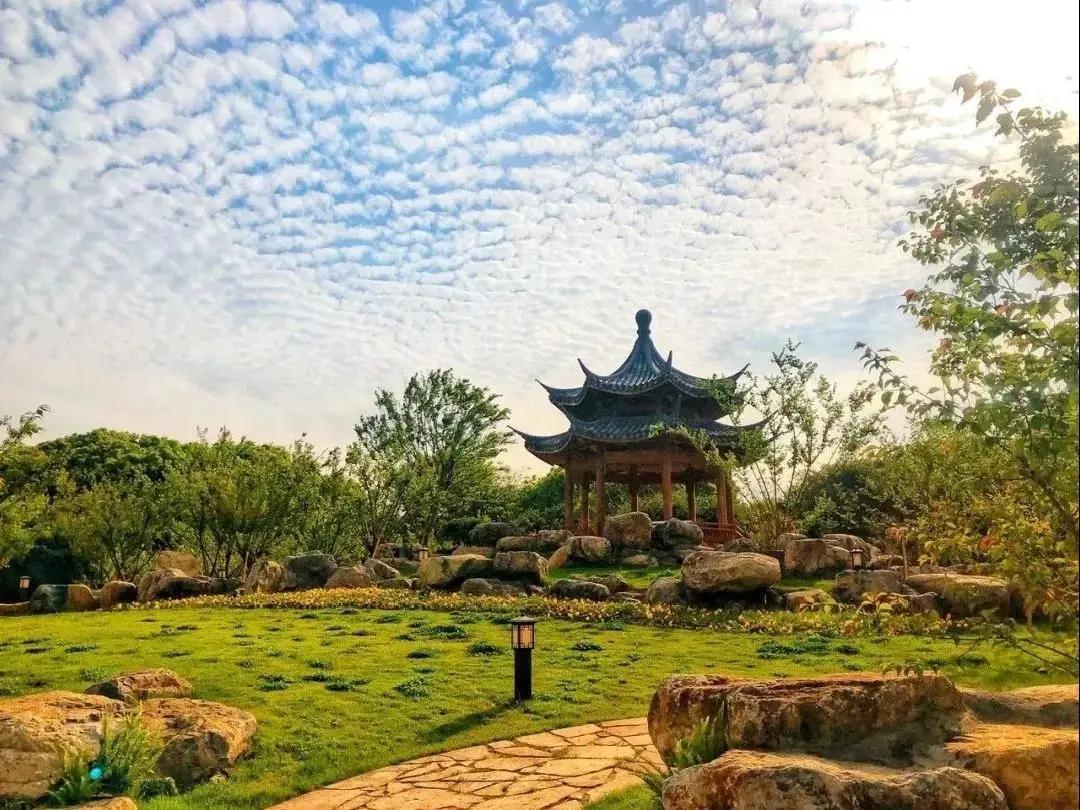 吸金3.8亿,鹿城旅游迎来新年“开门红”