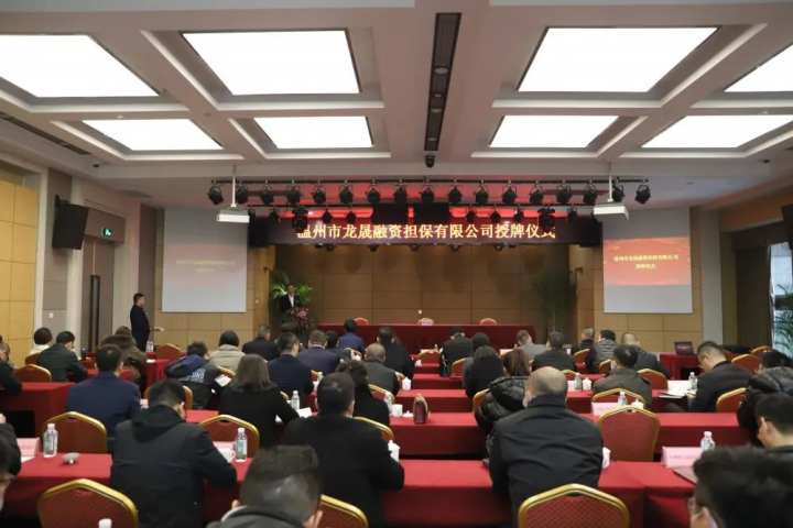 龙湾首家国有政策性融资担保公司挂牌运营