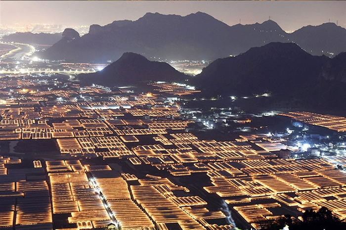 苍南:大棚烛光成风景