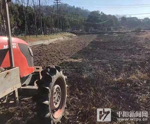 麻步300亩抛荒地“变身”良田