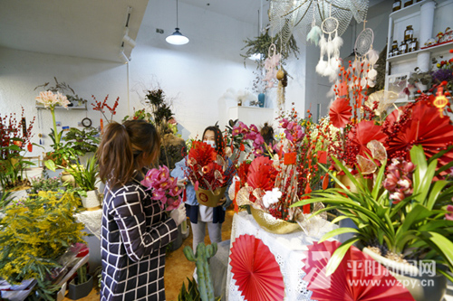 平阳:花卉市场年味儿浓
