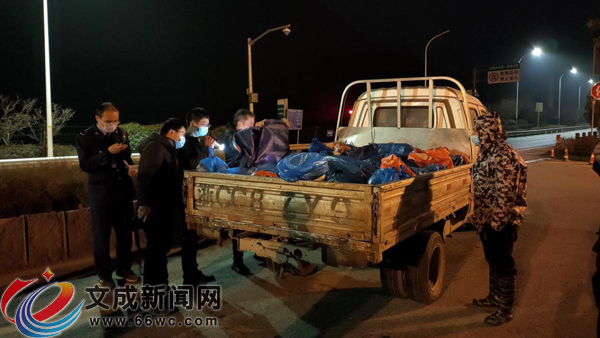 文成:开展违规跨区域调运生鲜猪肉违法行为联合检查行动
