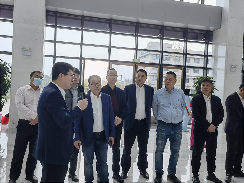 海外侨领走进龙湾 共话家乡发展