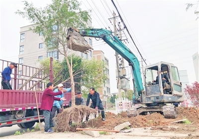 返聘老员工 专设植树部 乐清民企造绿有方