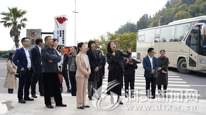 洞头:民宿产业发展态势良好