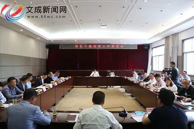 文成召开特色小镇创建工作推进会