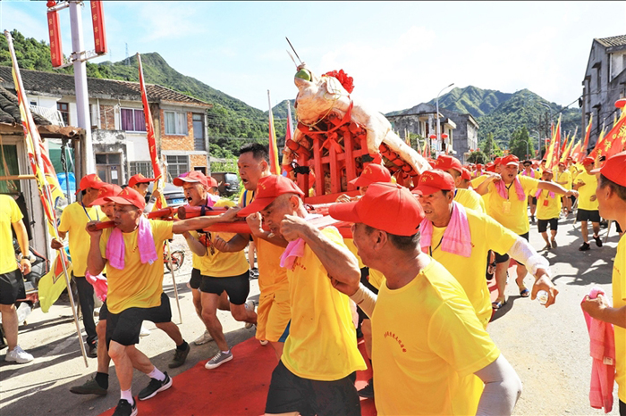 苍南:抬大猪 祈丰年