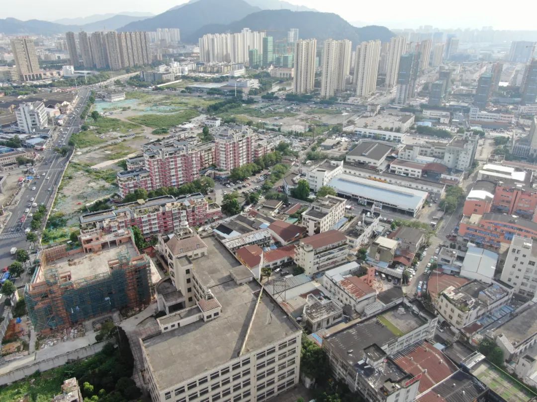 鹿城又一片区启动征收,位于…