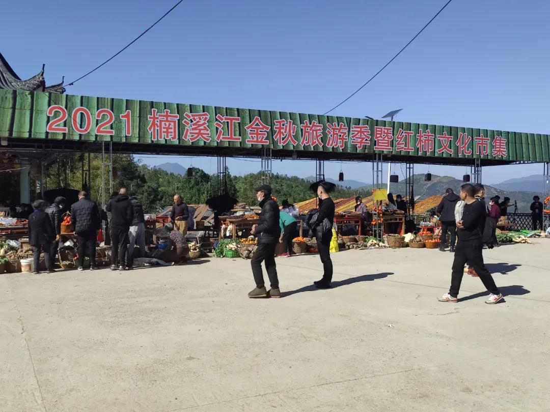 永嘉这个村3800棵柿子树红了!美食美景!安排!