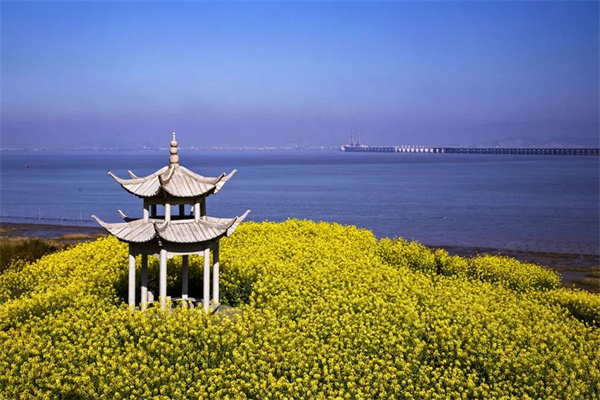 做足花文章 解锁洞头大门的共富密码