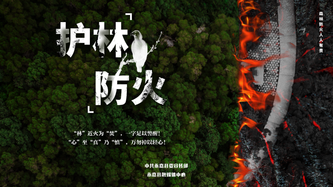 森林高火险!永嘉发布警示!