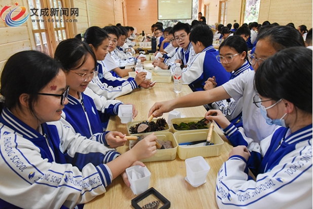 五一“趣”文成:打卡好去处!龙麒源景区生物博览园开启奇幻科普之旅