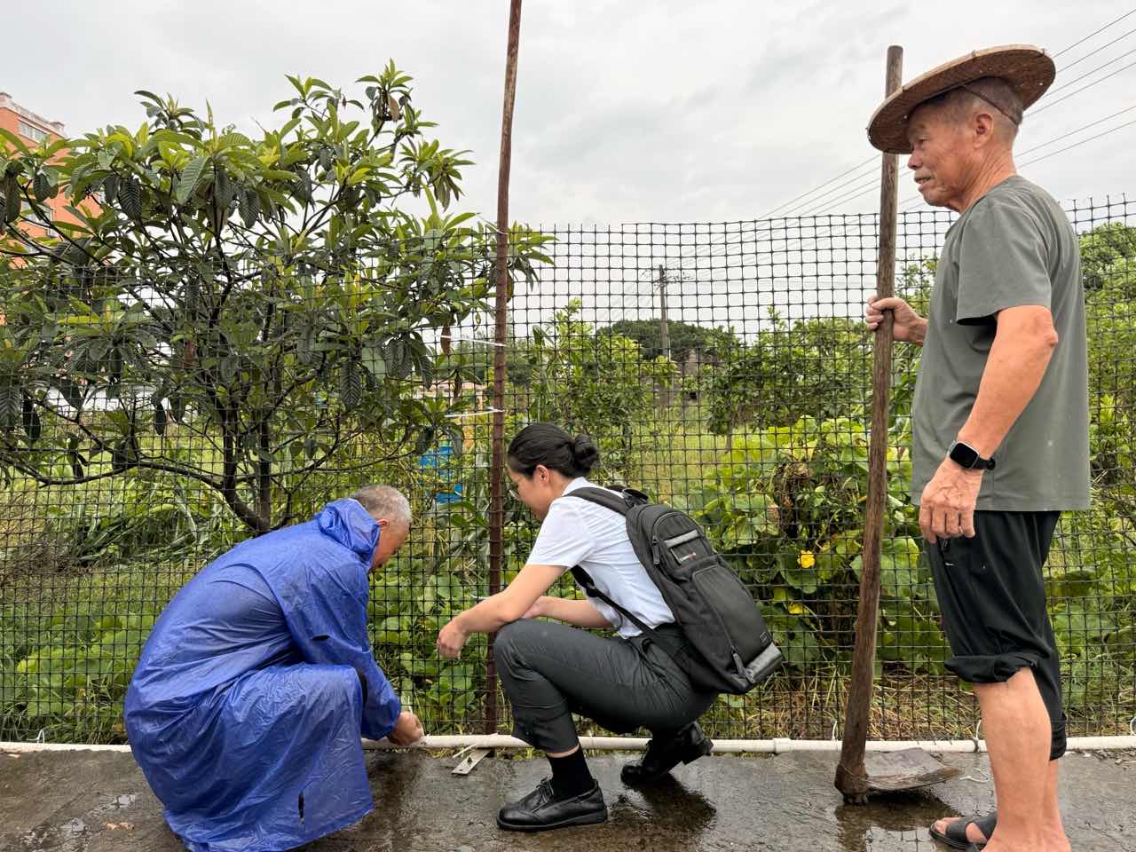 风雨过后送温情 平阳金融服务上门助力灾后复产