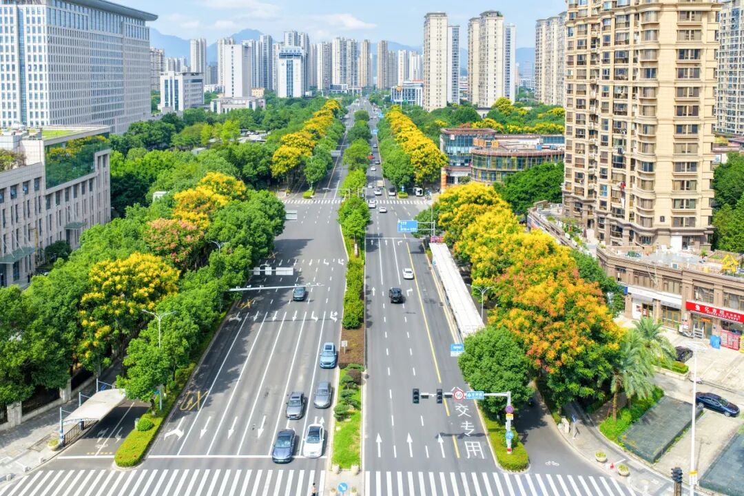 美了美了!瓯海这些地方街景很出片