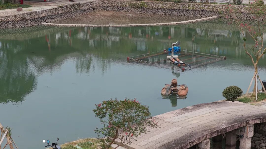 蓄水成景!清淤、引水、种水草……丽水古街颜值升级