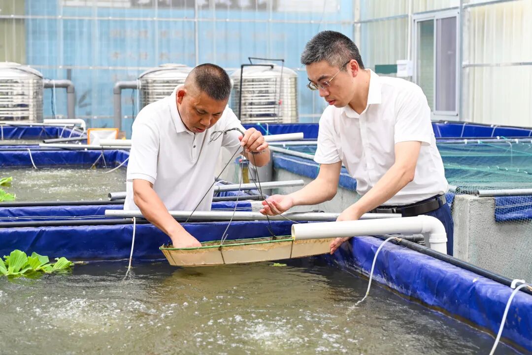 小池塘大产业!文成特色水产有“钱”景!